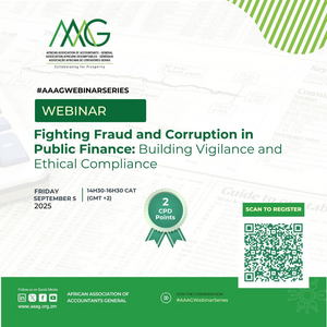 AAAG Fighting Fraud and corruption in Public Sector AAAG Fighting Fraud and corruption in Public Sector